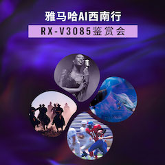 esballAi西南行·重庆站·RX-V3085鉴赏会